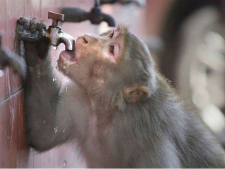 શું છે ગરમીનું કારણ