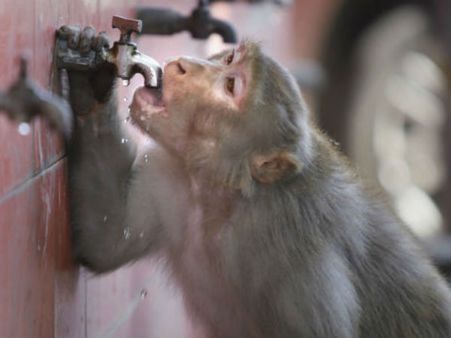 ચોમાસું મોડું ચાલુ થશે ચોમાસું મોડું ચાલુ થશે