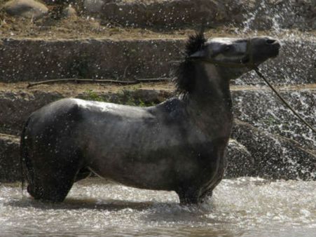 અહીં થશે વરસાદ, તેજ હવા ચાલશે અહીં થશે વરસાદ, તેજ હવા ચાલશે
