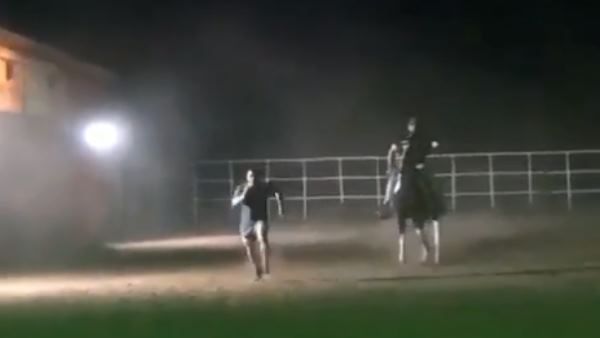 Video: એક વાર ફરીથી સલમાને ફેન્સને ચોંકાવ્યા, મોડી રાતે ઘોડા સાથે લગાવી રેસ