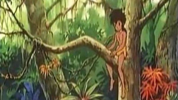 મોગલી મોગલી