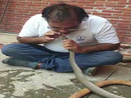 પેટમાં પાઇપ નાખીને ઉલ્ટી કરાવી