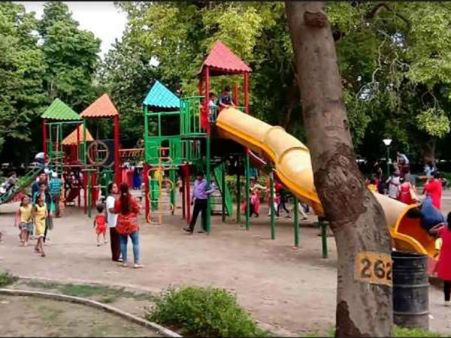 વન વિભાગે કેવાડિયામાં જંગલી પ્રાણીઓ માટે બનાવ્યો આ પ્લાન વન વિભાગે કેવાડિયામાં જંગલી પ્રાણીઓ માટે બનાવ્યો આ પ્લાન