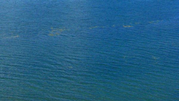 સિક્કો લઈને વિશ માંગવી