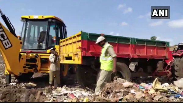 તેલંગાણા નગરપાલિકાની હેવાનિયત, 50 આવારા કુતરાઓને માર્યા