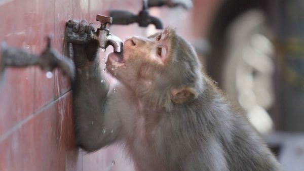 ચોમાસુ થયું લેટ