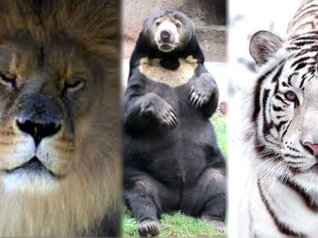 શોપિંગ માટે એકતા મોલ બનાવવામાં આવશે શોપિંગ માટે એકતા મોલ બનાવવામાં આવશે