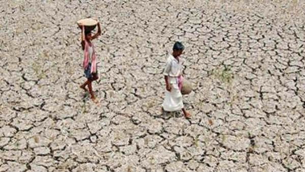 અડધુ ભારત દુષ્કાળની ઝપેટમાં, જળાશયો-તળાવો સુકાયા, પીવાના પાણીની તંગી