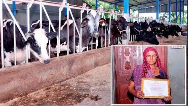 ઘણા બધા પુરસ્કારો પણ મળ્યા છે