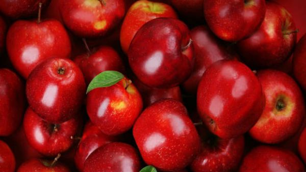 જૈવિક અને પરંપરાગત સફરજન વચ્ચે કર્યો અભ્યાસ જૈવિક અને પરંપરાગત સફરજન વચ્ચે કર્યો અભ્યાસ