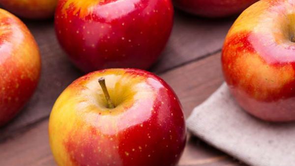 બીજમાં વધુ બેક્ટેરિયા હોય છે બીજમાં વધુ બેક્ટેરિયા હોય છે