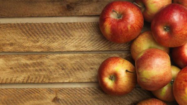 શું આ બેક્ટેરિયા તમારા માટે સારા છે કે ખરાબ શું આ બેક્ટેરિયા તમારા માટે સારા છે કે ખરાબ