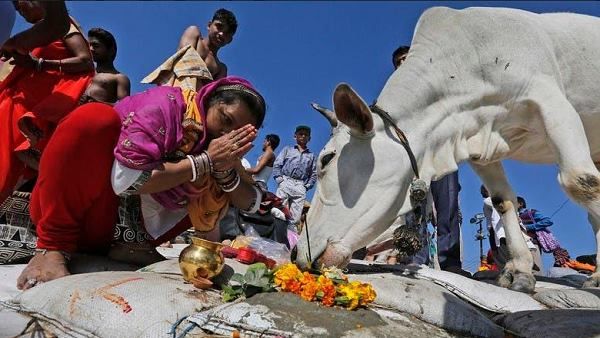 400થી વધુ ગૌ પર્યટન કેન્દ્ર સ્થાપિત કરાશે