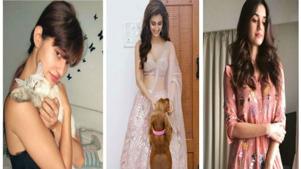 લાઈમલાઈટ મેળવી