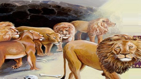 લાયન સફારી કરાવતા વાહનોમાં લગાવાયું GPS