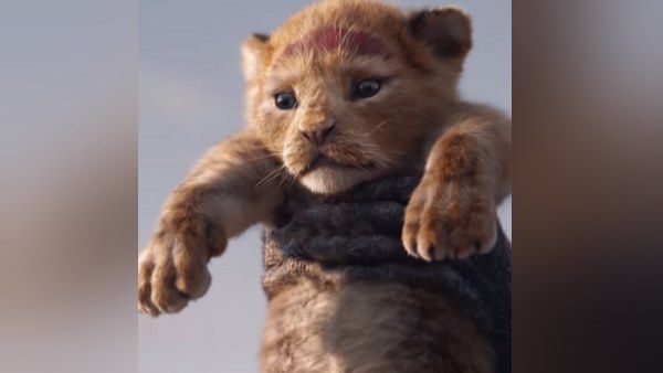 સરકાર સિંહની સારવાર માટે બનાવડાવી રહી છે હોસ્પિટલ