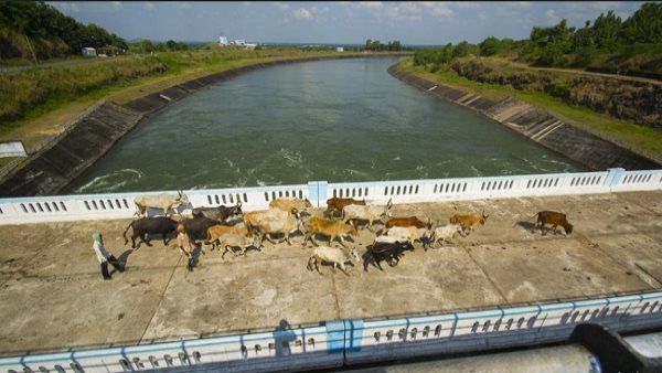નર્મદા યોજના પર 70 હજાર કરોડ ખર્ચાયા, છતાં પાણીનો પ્રશ્ન ઉકેલાયો નથી