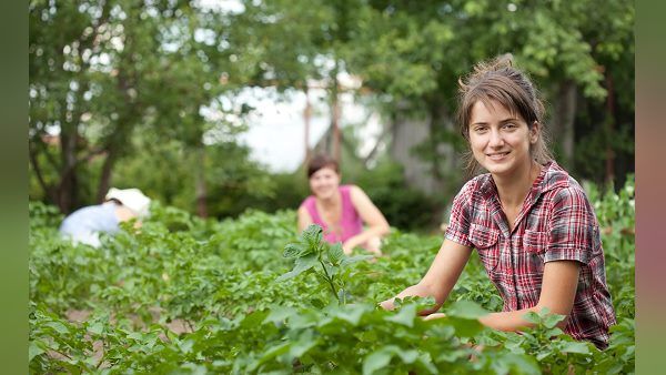 વેપારીઓ વેચી રહ્યા છે ખેડૂતોને નકલી દવાઓ