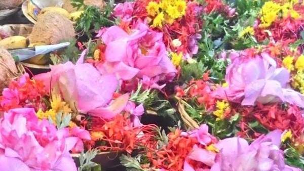 દર મહિને વેચે છે 3 હજાર કિલો ખાતર