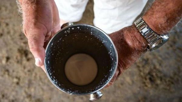 વર્ષે 15 કિલો જ પનીર બને છે.