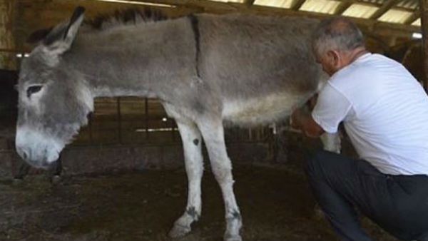 વિશેષ શું?