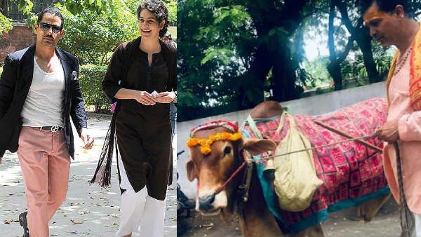 ગાય વાડ્રાની કાર પાસે ગઈ