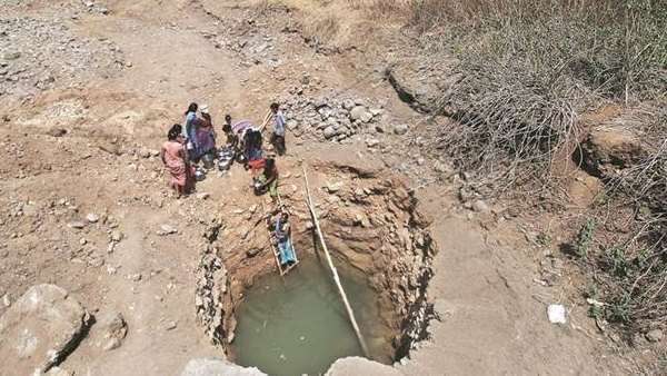 રાજ્યના 17 જિલ્લામાં 96 તાલુકા દુકાળગ્રસ્ત જાહેર