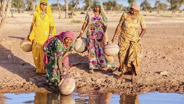 ચારો ખરીદવા પાછળ 150 કરોડનો ખર્ચ