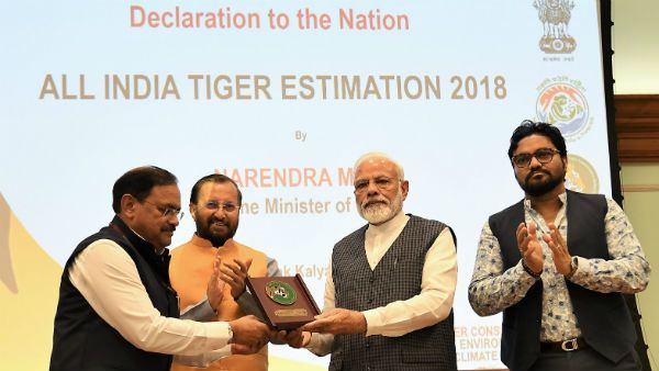 International Tiger Day: પીએમ મોદીએ જાહેર કર્યો રિપોર્ટ, જાણો કેટલી થઈ વાઘની સંખ્યા
