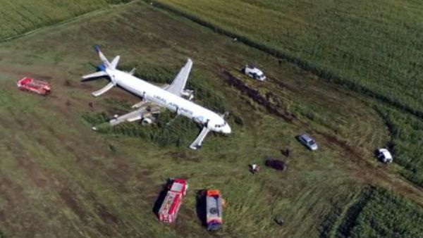 રશિયાઃ એન્જીનમાં પક્ષી ફસાયું, પાયલટે મકાઈના ખેતરમાં પ્લેન લેન્ડ કરી 233ના જીવ બચાવ્યા