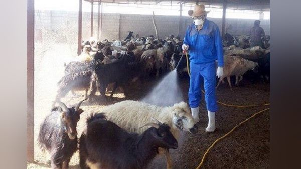 જ્યાં મોત થયા એ જ ગામમાં સૌથી વધુ જોખમ