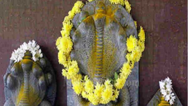 નાગદેવની પૂજા