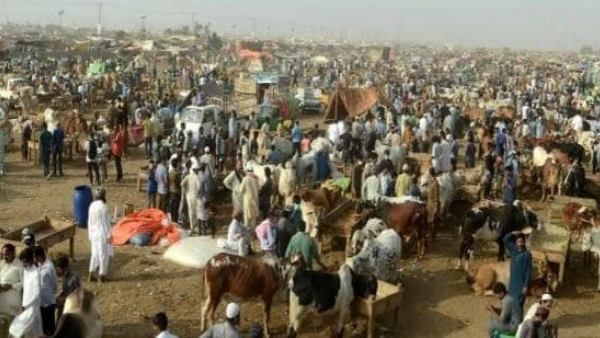 પ્રાણીઓના બલિદાન પછી હાલાત વધુ ખરાબ થયા 