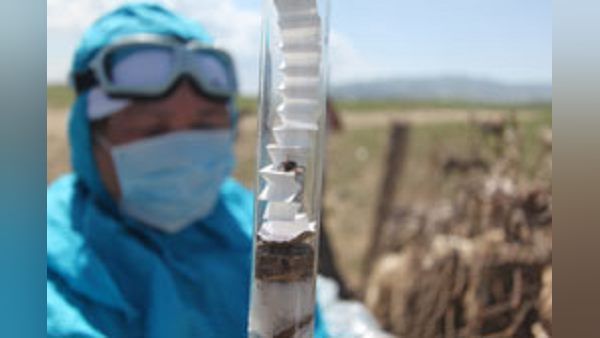 3856 લોકોનું સર્વેલેન્સ