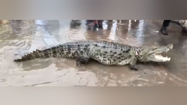 મોં ને દોરડાથી બાંધ્યું મોં ને દોરડાથી બાંધ્યું