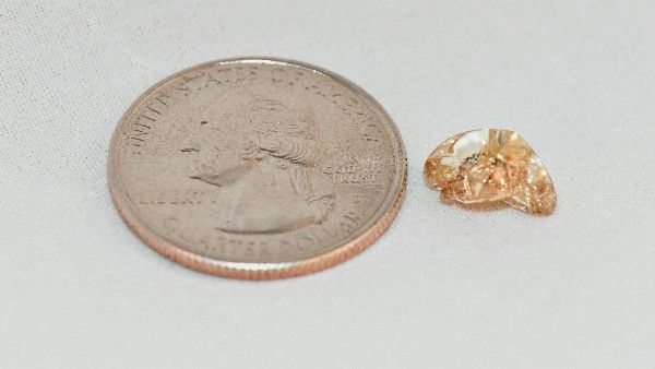 લગભગ 70થી 80 લાખ રૂપિયાનો છે પીળો હીરો લગભગ 70થી 80 લાખ રૂપિયાનો છે પીળો હીરો