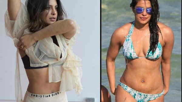 નિક સાથે મુલાકાત નિક સાથે મુલાકાત