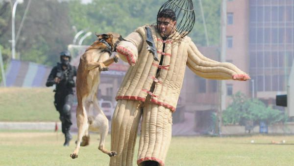 Y સુરક્ષા શ્રેણી