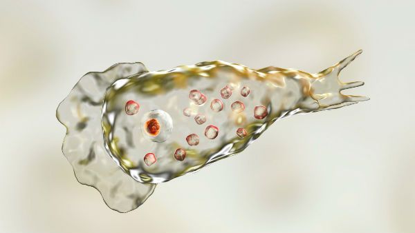 માત્ર ચાર લોકોના બચી શક્યા છે જીવ