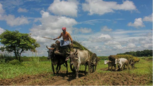 મોટર વ્હીકલ એક્ટની કલમ 81 અંતર્ગત ચલાન કપાયું મોટર વ્હીકલ એક્ટની કલમ 81 અંતર્ગત ચલાન કપાયું