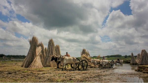 ખેડૂતો કર્યો વિરોધ ખેડૂતો કર્યો વિરોધ