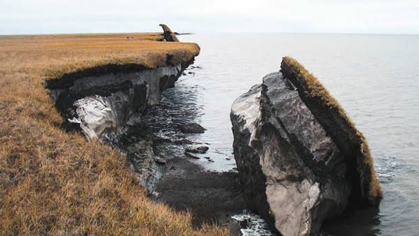 2) પર્માફ્રૉસ્ટ લુપ્ત થઈ જશે 2) પર્માફ્રૉસ્ટ લુપ્ત થઈ જશે