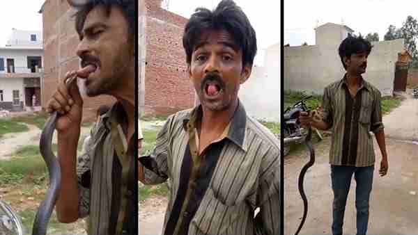 કરડાવ્યા પછી યુવક જમીન પર પડી ગયો