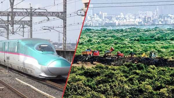 NHSRCL: બુલેટ ટ્રેનના રૂટમાં આવતા 1 વૃક્ષ કપાત સામે 10 વૃક્ષો ઉગાડાશે