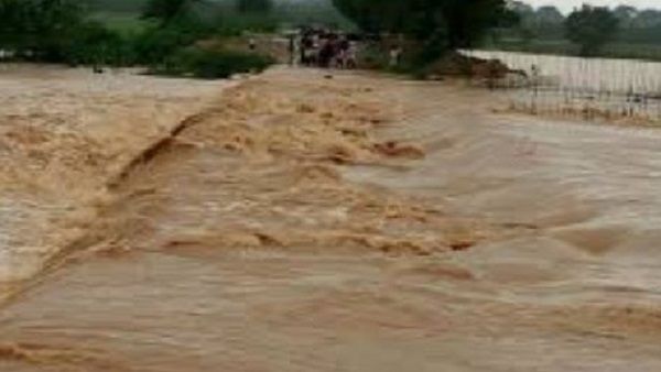 બિનોદિની સામલ 11 વર્ષથી ભણાવી રહી છે