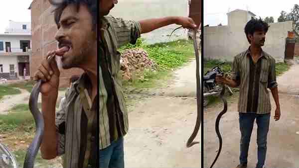 સોશ્યિલ મીડિયા પર વીડિયો વાયરલ થયો