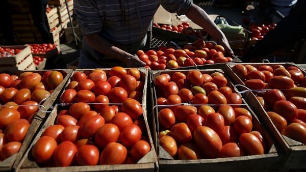 મહારાષ્ટ્ર અને કર્ણાટકમાં ભારે વરસાદને કારણે પાકને નુકશાન