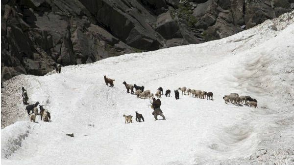 લદ્દાખમાં જનજાતીય સમાજની વસ્તી