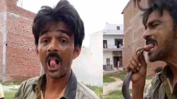 વસીમને સાપ પકડવાનો શોખ હતો