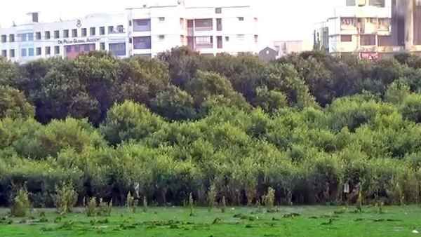 કયા જિલ્લામાંથી કેટલું જમીન અધિગ્રહણ થશે